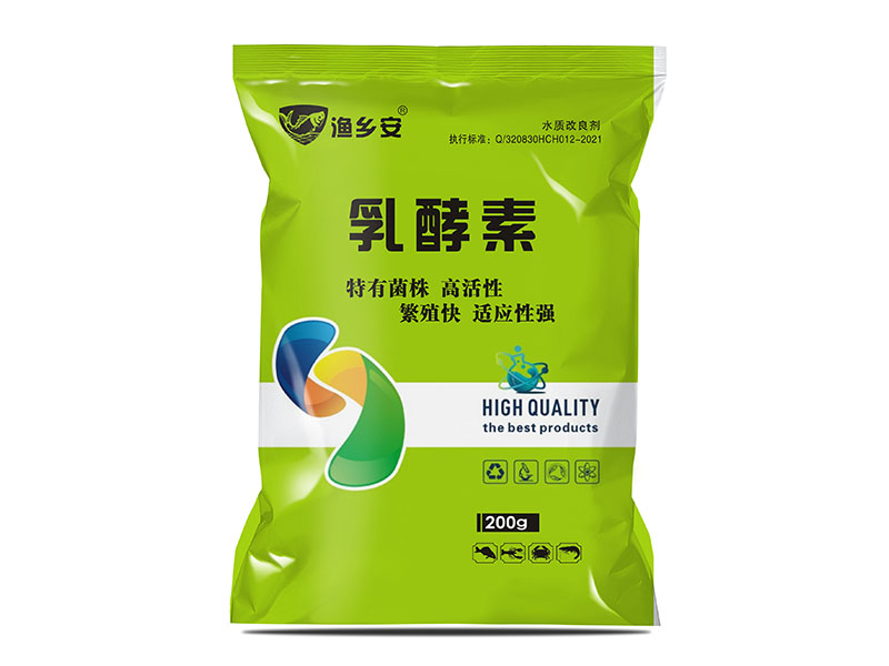 乳酵素