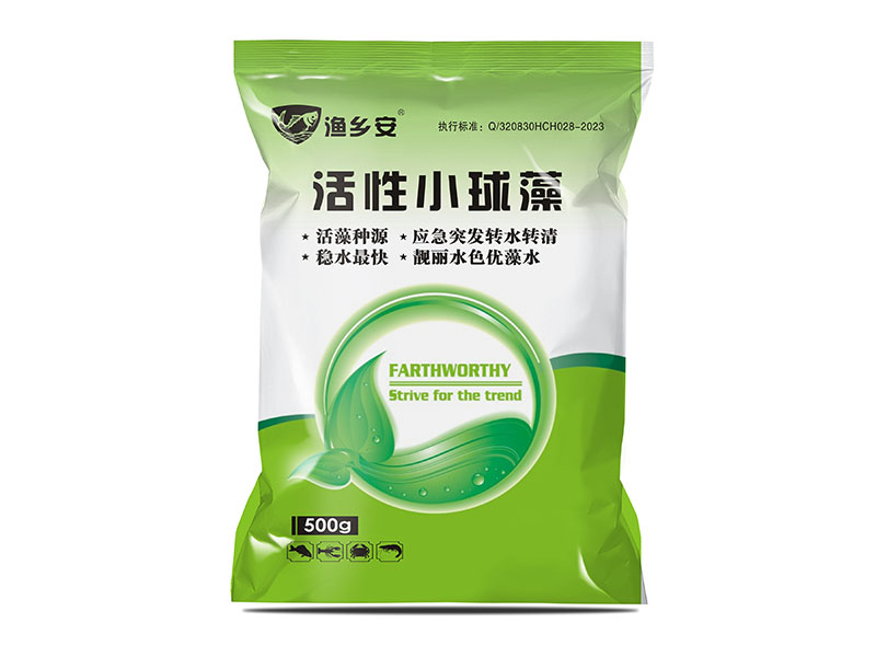 活性小球藻