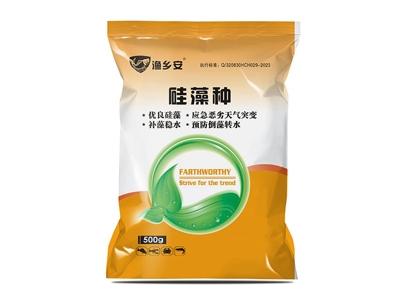 硅藻种